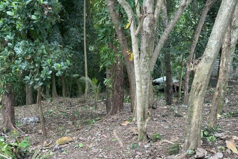 1204m2 Land in Tabanan,  No. 9017 15