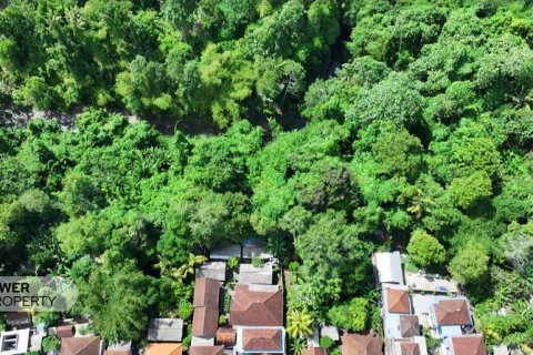 1204m2 Land in Tabanan,  No. 9017 23