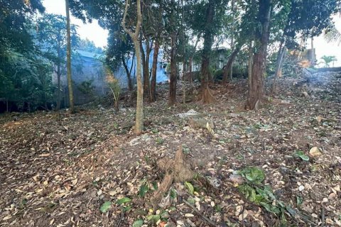 1204m2 Land in Tabanan,  No. 9017 5