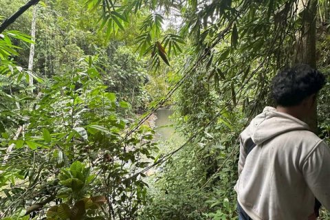 1204m2 Land in Tabanan,  No. 9017 17