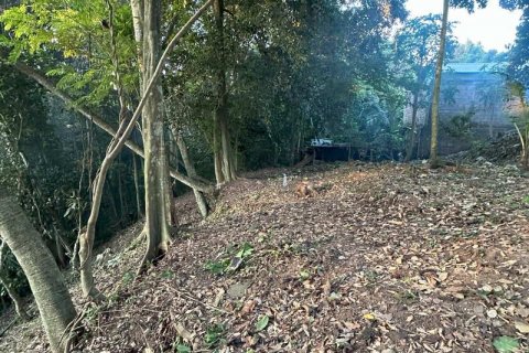 1204m2 Land in Tabanan,  No. 9017 6