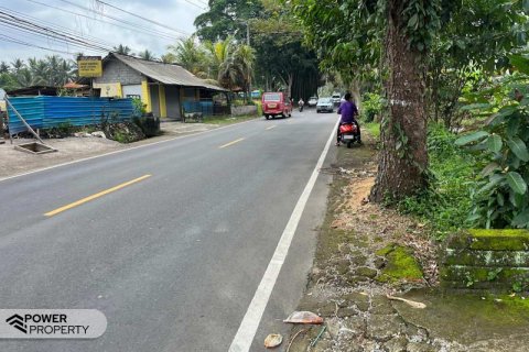 1200m2 Land in Mengwi, Badung,  No. 9016 7