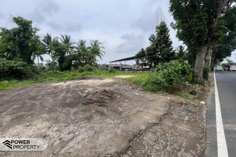 1200m2 Land in Mengwi, Badung,  No. 9016 6