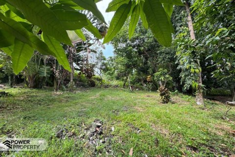 Земельный участок 1850м2 в Canggu, Бадунг,  № 9015 7