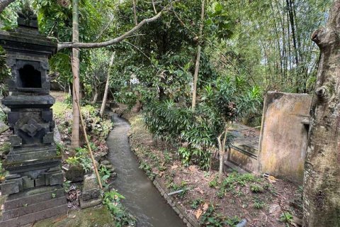 Земельный участок 1850м2 в Canggu, Бадунг,  № 9015 5