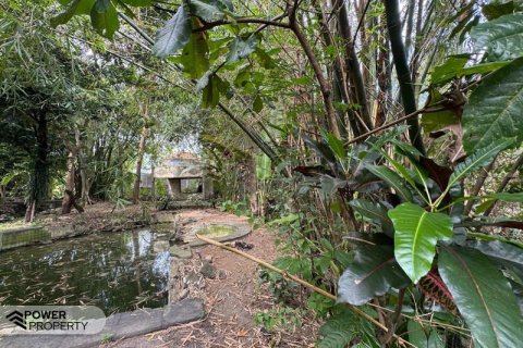 Земельный участок 1850м2 в Canggu, Бадунг,  № 9015 16