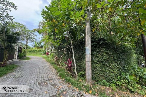 Земельный участок 1850м2 в Canggu, Бадунг,  № 9015 12