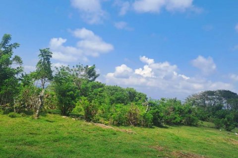 Земельный участок 9300м2 в Южная Кута, Бадунг,  № 9018 7