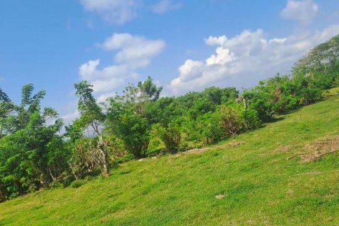 Земельный участок 9300м2 в Южная Кута, Бадунг,  № 9018 6