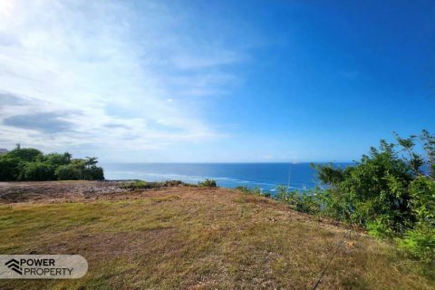 Земельный участок 9300м2 в Южная Кута, Бадунг,  № 9018 3