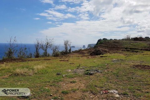 650m2 Land in Nusa Penida, Klungkung,  No. 9019 1