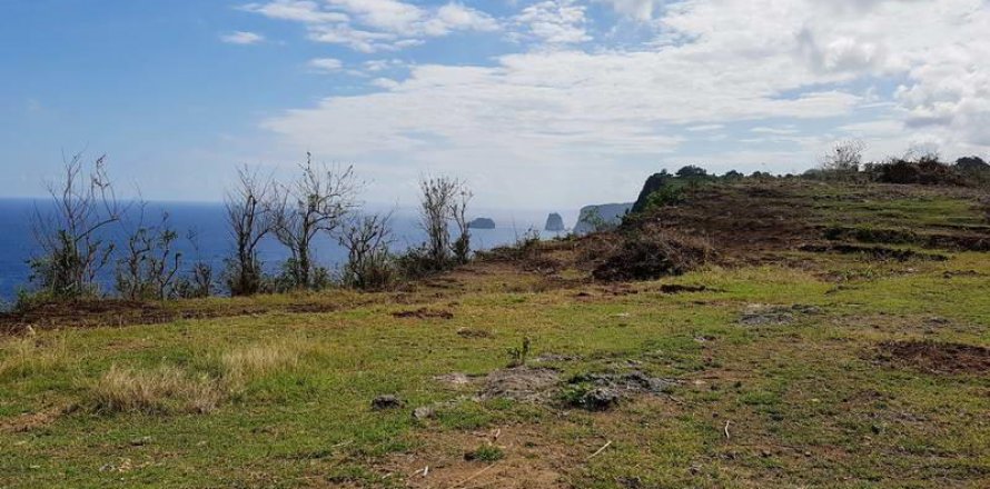 650m2 Land in Nusa Penida, Klungkung,  No. 9019