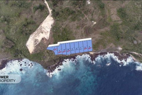 650m2 Land in Nusa Penida, Klungkung,  No. 9019 4