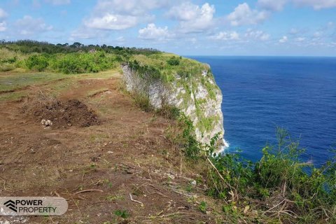 650m2 Land in Nusa Penida, Klungkung,  No. 9019 2
