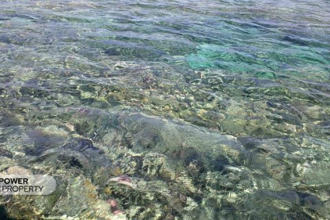 62418m2 Land in Sumbawa,  No. 9021 5