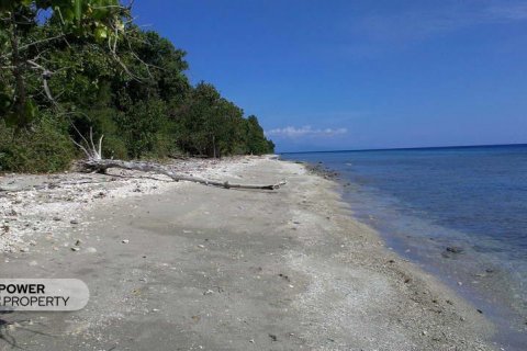 62418m2 Land in Sumbawa,  No. 9021 6