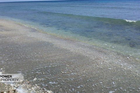 62418m2 Land in Sumbawa,  No. 9021 2