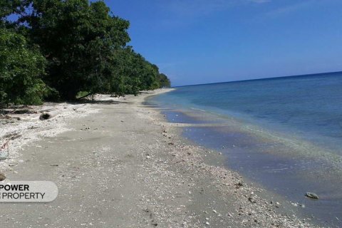 62418m2 Land in Sumbawa,  No. 9021 3