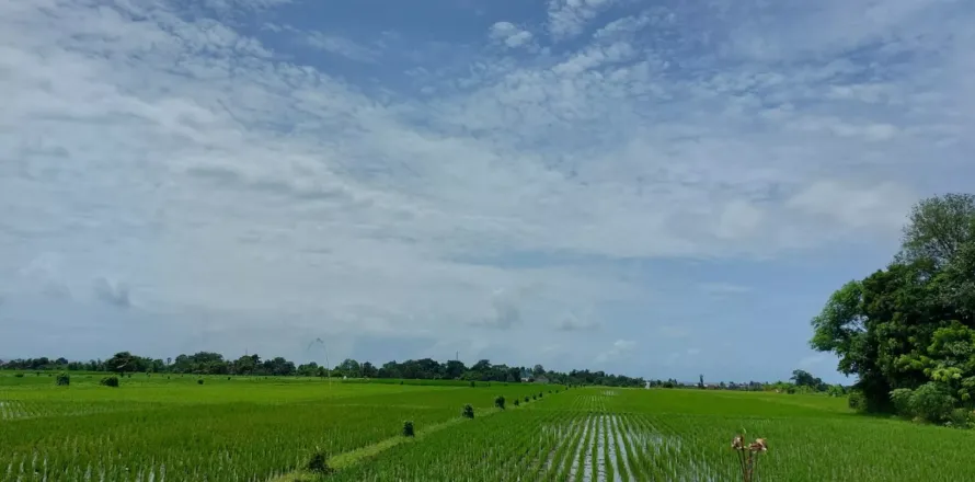 Land in Kediri, Indonesia No. 13519