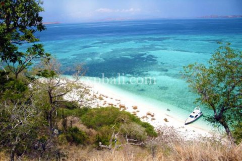 Земельный участок 20000м2 в Лабуан-Баджо, Западный Манггараи,  № 9172 1