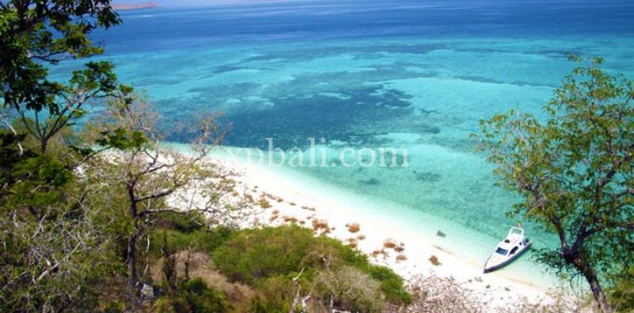 Земельный участок 20000м2 в Лабуан-Баджо, Западный Манггараи,  № 9172