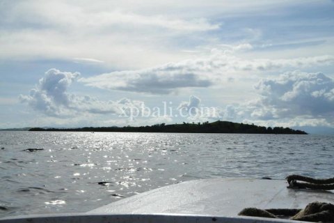 Земельный участок 20000м2 в Лабуан-Баджо, Западный Манггараи,  № 9172 7