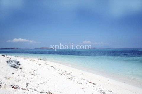 Земельный участок 20000м2 в Лабуан-Баджо, Западный Манггараи,  № 9172 2