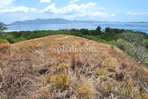 Земельный участок 20000м2 в Лабуан-Баджо, Западный Манггараи,  № 9172 5