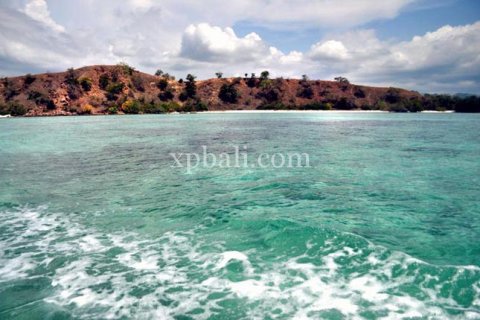 Земельный участок 20000м2 в Лабуан-Баджо, Западный Манггараи,  № 9172 6