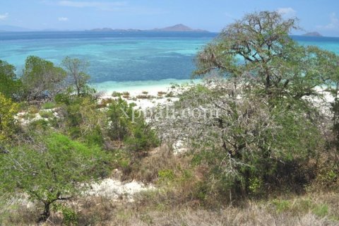 Земельный участок 20000м2 в Лабуан-Баджо, Западный Манггараи,  № 9172 4