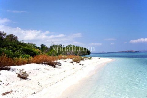 Земельный участок 20000м2 в Лабуан-Баджо, Западный Манггараи,  № 9172 3