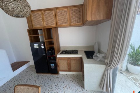 Вилла с 2 спальнями в Canggu, Бадунг, Индонезия № 11079 7