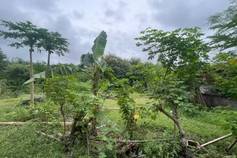 Land in Nusa Dua, Badung, Indonesia No. 11043 3