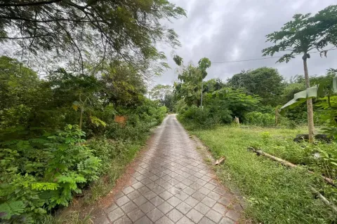 Land in Nusa Dua, Badung, Indonesia No. 11043 5