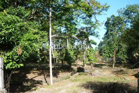 2640m2 Land in Canggu, Badung,  No. 9169 11