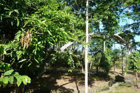 2640m2 Land in Canggu, Badung,  No. 9169 10