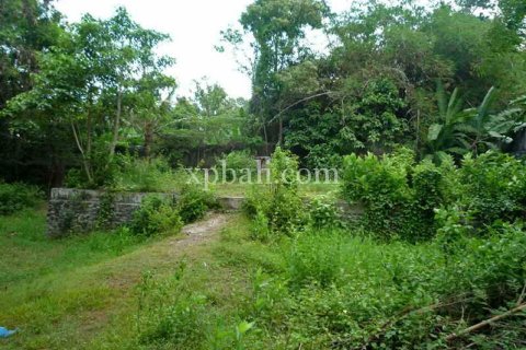 2640m2 Land in Canggu, Badung,  No. 9169 3