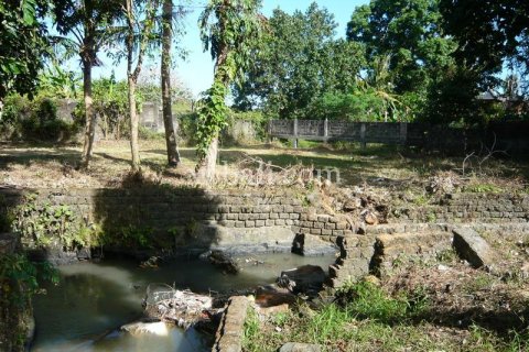2640m2 Land in Canggu, Badung,  No. 9169 9