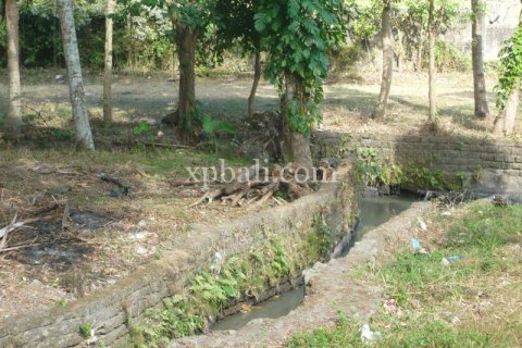 2640m2 Land in Canggu, Badung,  No. 9169 7