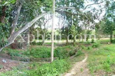 2640m2 Land in Canggu, Badung,  No. 9169 2