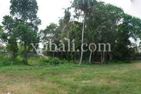 2640m2 Land in Canggu, Badung,  No. 9169 1