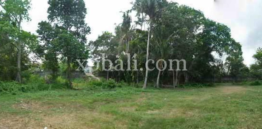 2640m2 Land in Canggu, Badung,  No. 9169