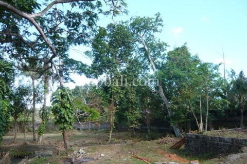 2640m2 Land in Canggu, Badung,  No. 9169 6