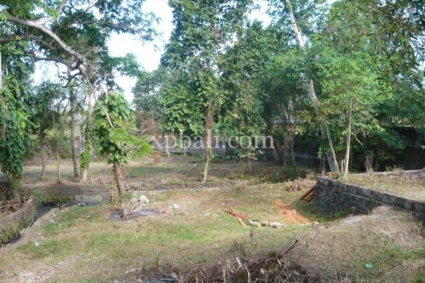 2640m2 Land in Canggu, Badung,  No. 9169 5