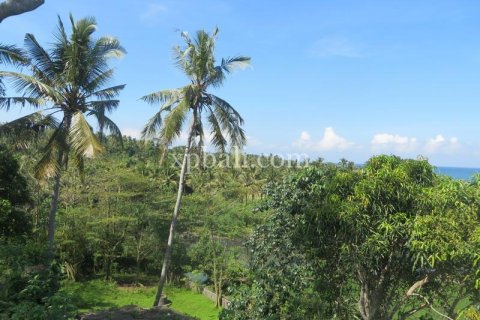 9335m2 Land in Negara, Jembrana,  No. 9167 1