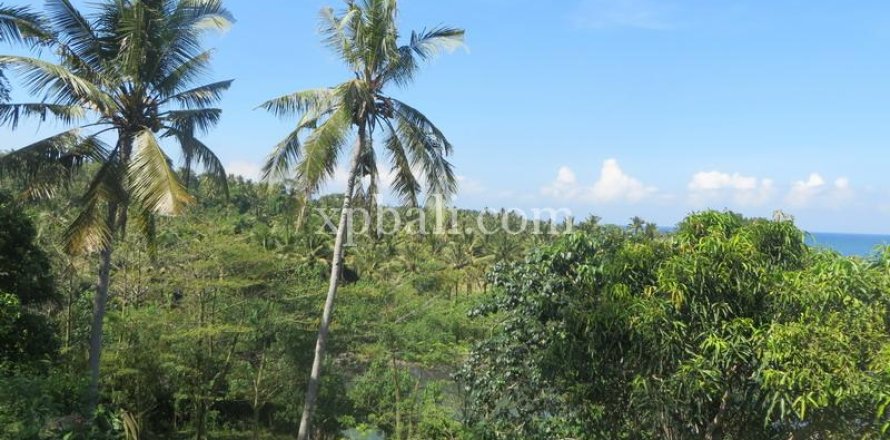 9335m2 Land in Negara, Jembrana,  No. 9167