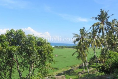 9335m2 Land in Negara, Jembrana,  No. 9167 8