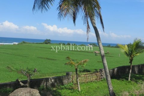 9335m2 Land in Negara, Jembrana,  No. 9167 4