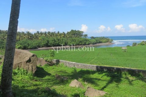 9335m2 Land in Negara, Jembrana,  No. 9167 5