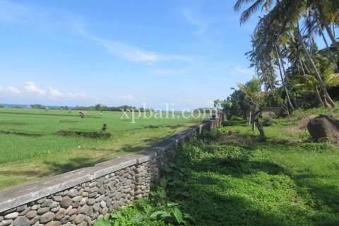 9335m2 Land in Negara, Jembrana,  No. 9167 3